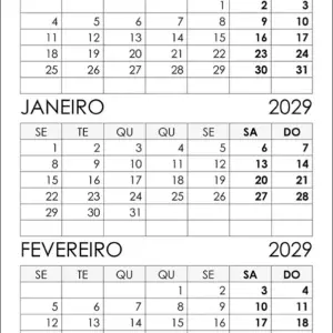 Calendário Dezembro 2028 e Janeiro, Fevereiro 2029
